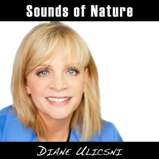 sounds of nature